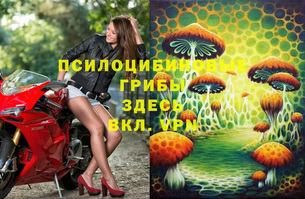 МДПВ Карталы