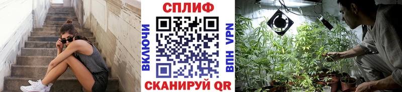 Марихуана AK-47  Купить закладки  Юрга 